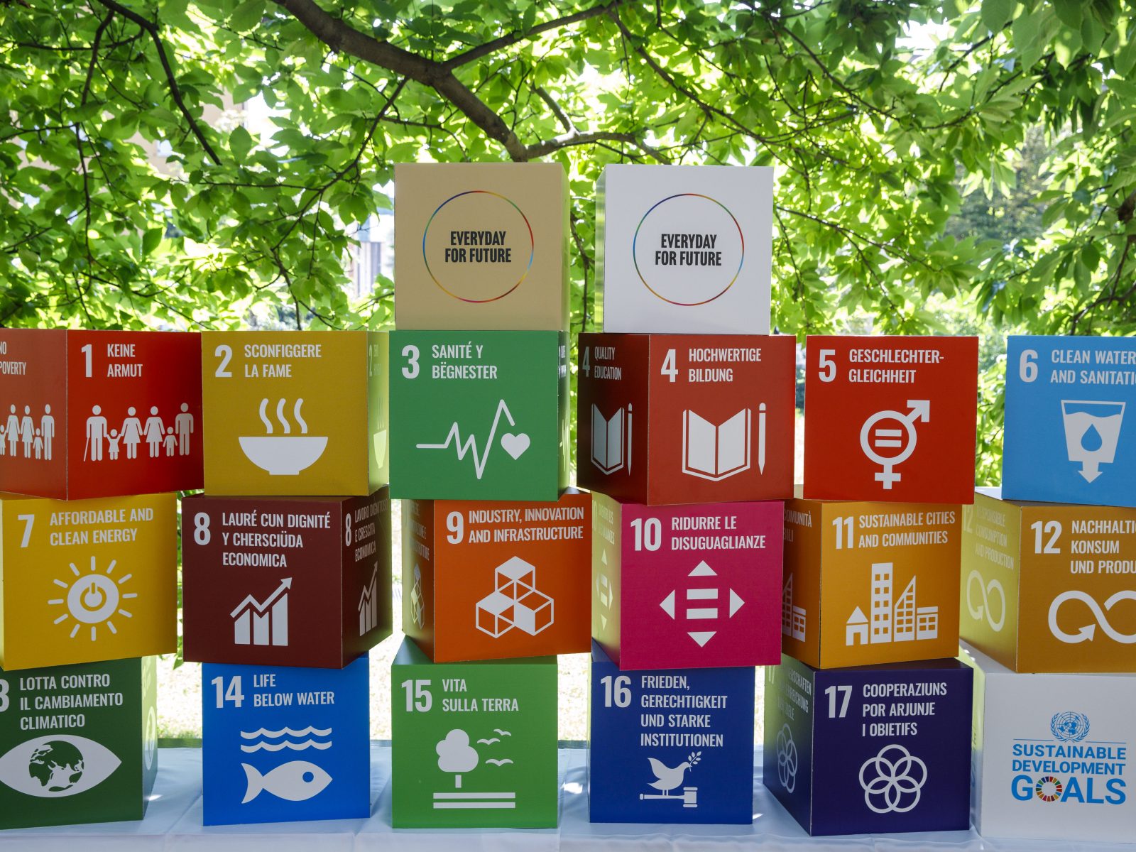 Der internationale Rahmen: Die 17 Nachhaltigkeitsziele der Vereinten Nationen.
